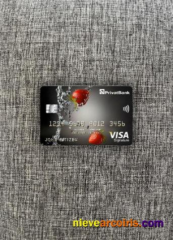 Ukraine PrivatBank visa signature card photolook